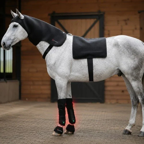 Wit paard bij de stal met halskap, rugdeken en oplichtende beenwraps voor infrarood therapie