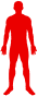 Silhouette du corps entièrement marquée en rouge, tout le corps comme zone traitée